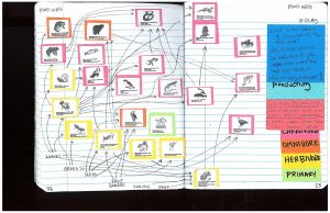page22_23 Food Web