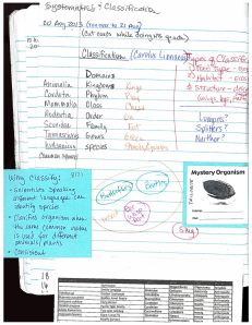 My notes for classification - useful to no one but me.  This was not working for my students.